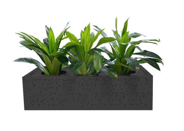 Black-Planter-1.jpg