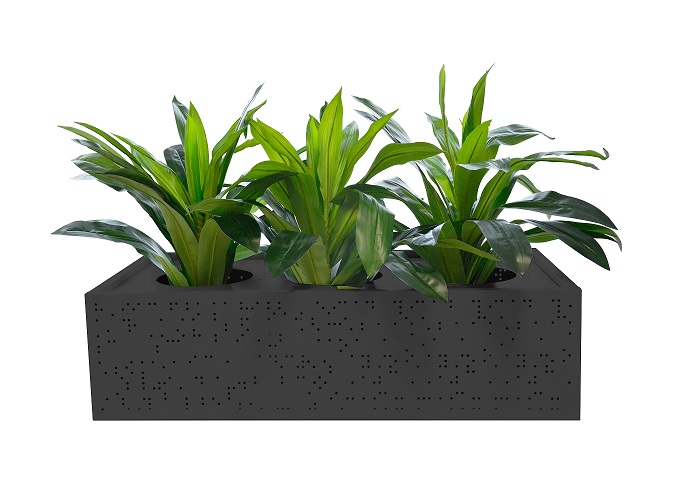 Black-Planter-1.jpg